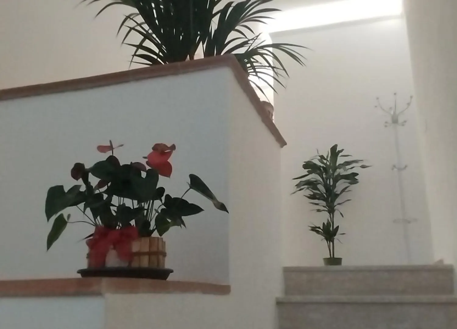 Valdambra B&B Bed & Breakfast Ambra